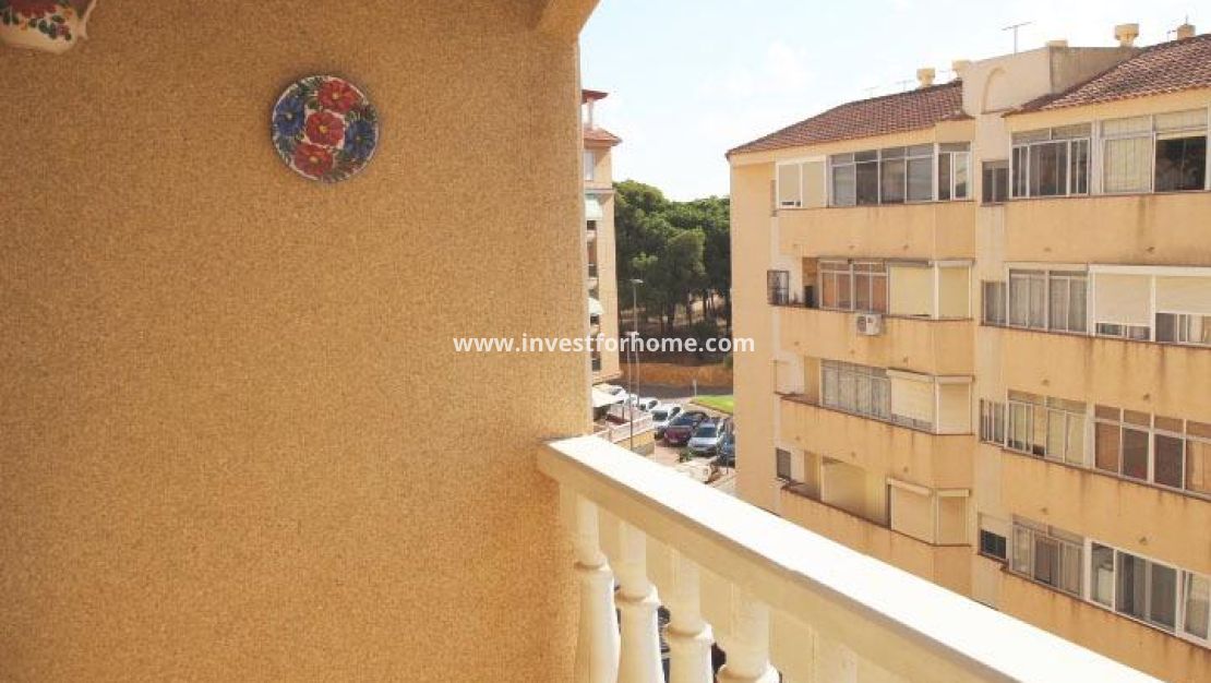 Vente - Appartement - Guardamar del Segura - Centro