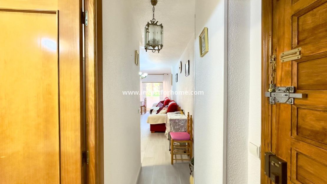 Vente - Appartement - Guardamar del Segura - Centro