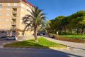 Vente - Appartement - Guardamar del Segura - Centro