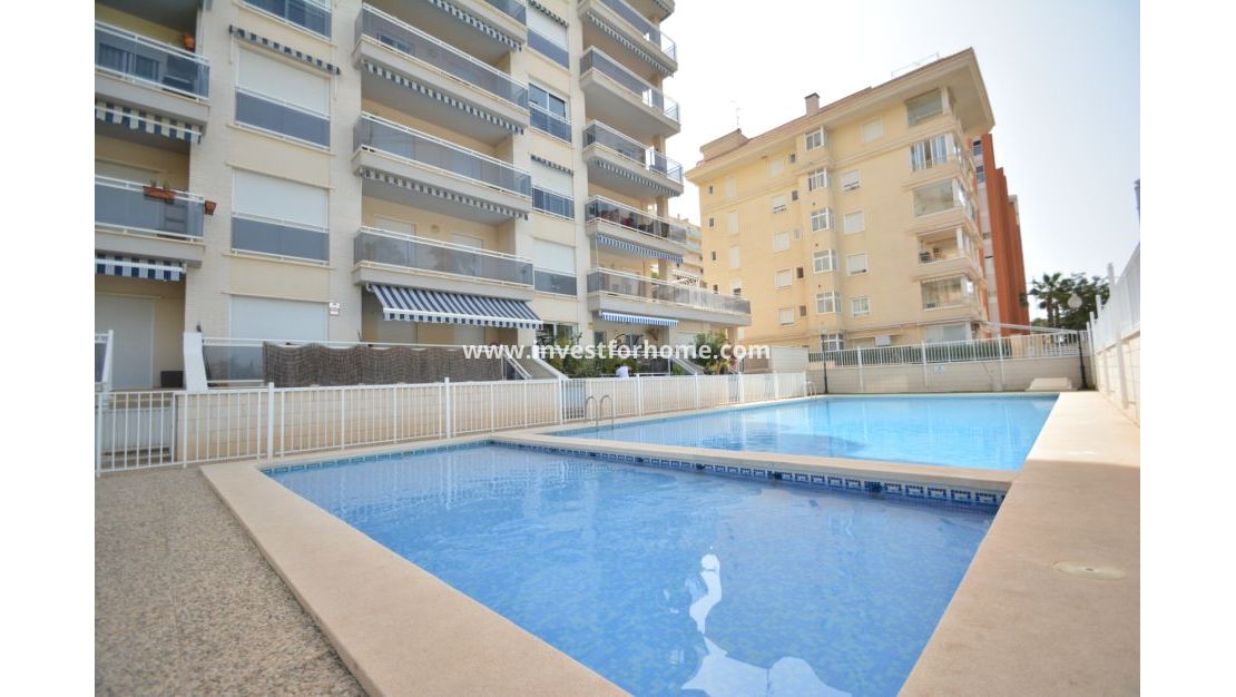 Vente - Appartement - Guardamar del Segura - Costa Blanca