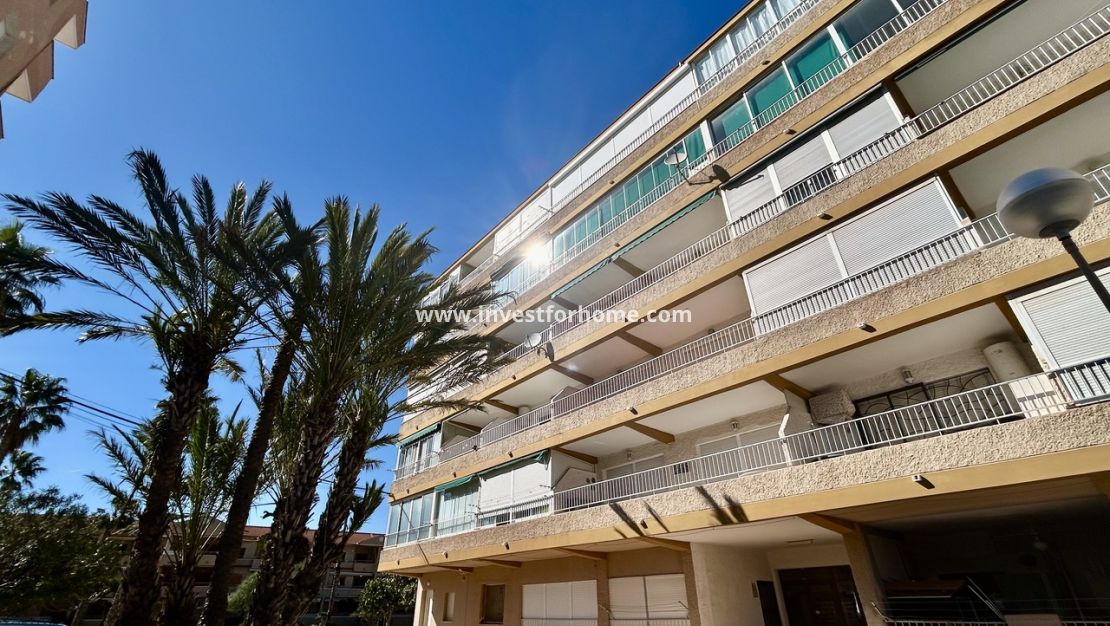 Vente - Appartement - Guardamar del Segura - Costa Blanca