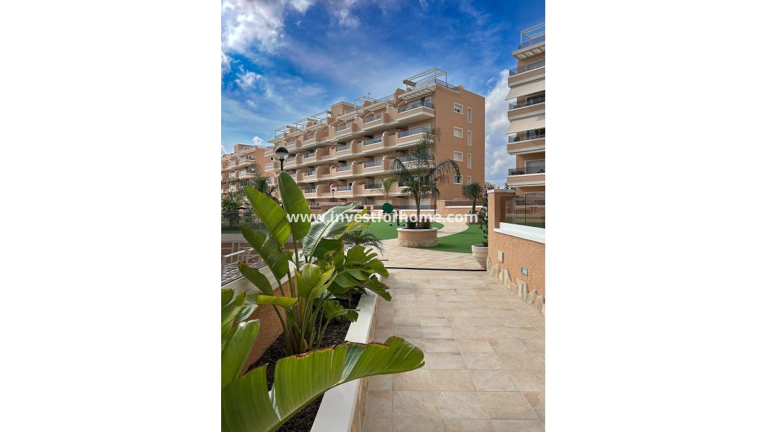 Vente - Appartement - Guardamar del Segura - El Raso