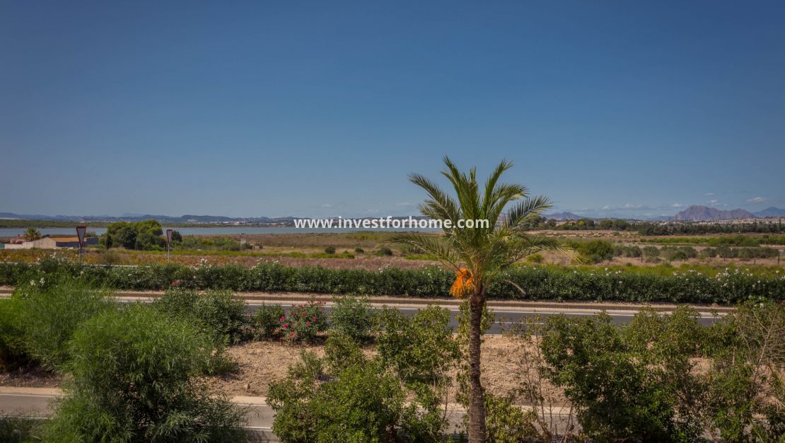Vente - Appartement - Guardamar del Segura - Guardamar Playa