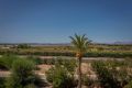 Vente - Appartement - Guardamar del Segura - Guardamar Playa