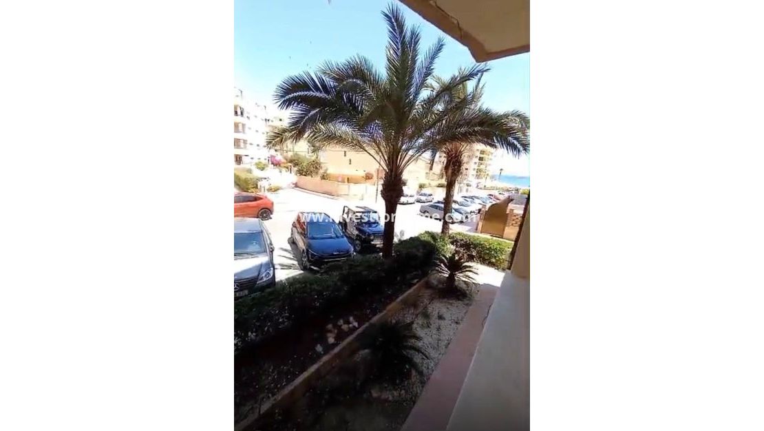 Vente - Appartement - Guardamar del Segura - Guardamar Playa