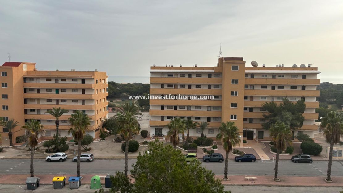 Vente - Appartement - Guardamar del Segura - Pinomar