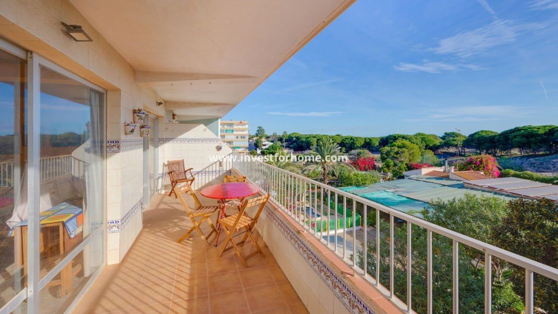 Vente - Appartement - Guardamar del Segura - Pinomar