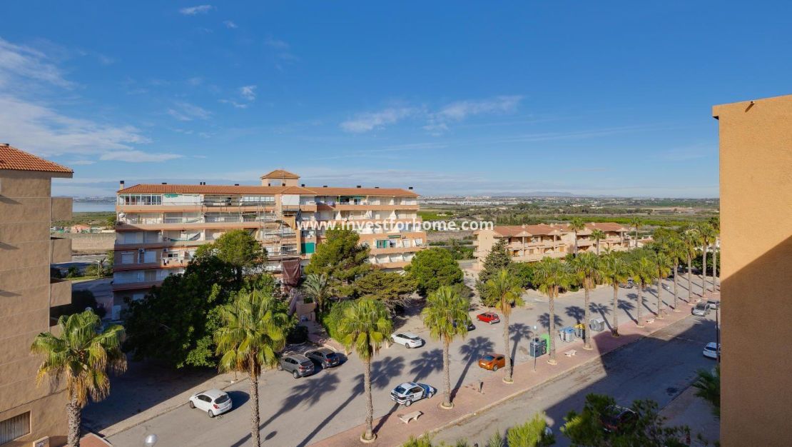 Vente - Appartement - Guardamar del Segura - Pinomar
