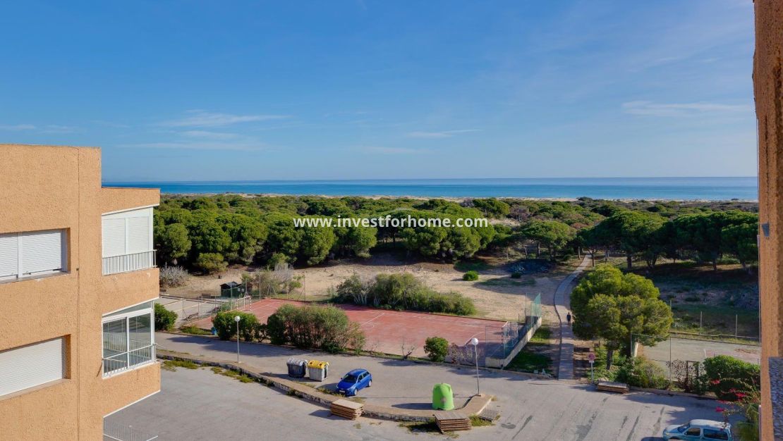 Vente - Appartement - Guardamar del Segura - Pinomar