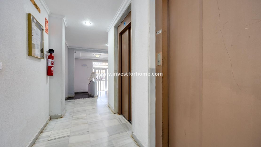 Vente - Appartement - Guardamar del Segura - Pueblo