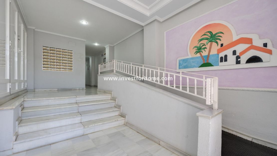 Vente - Appartement - Guardamar del Segura - Pueblo