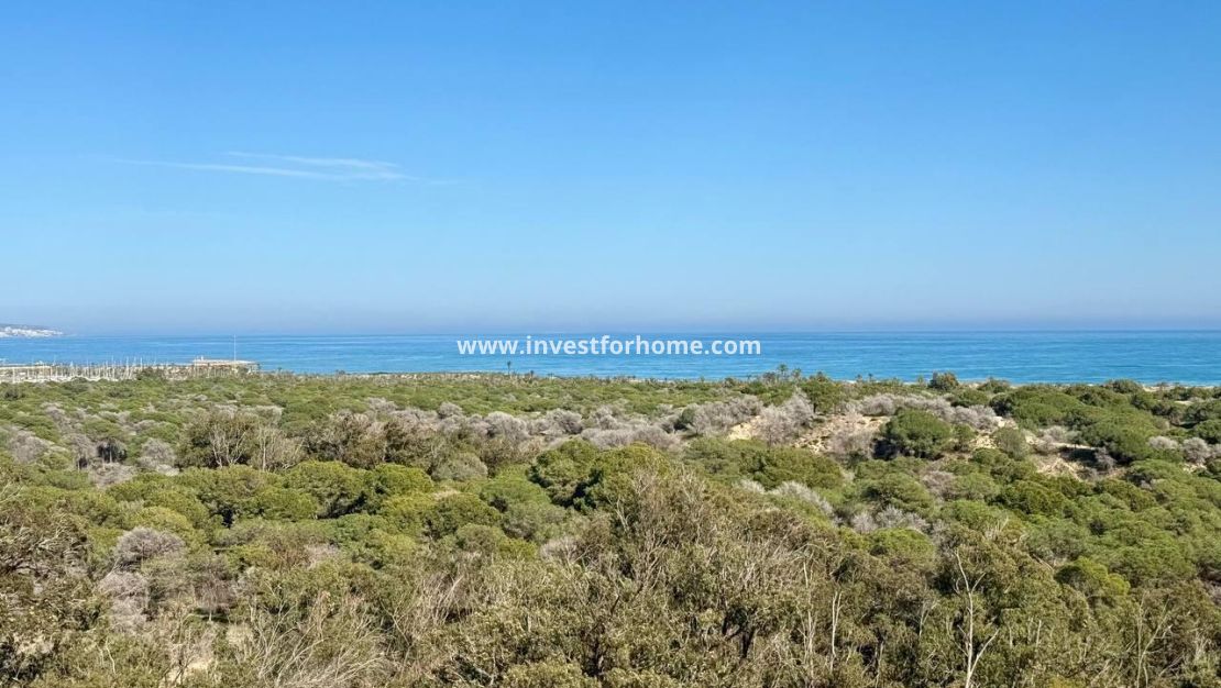 Vente - Appartement - Guardamar del Segura - Puerto