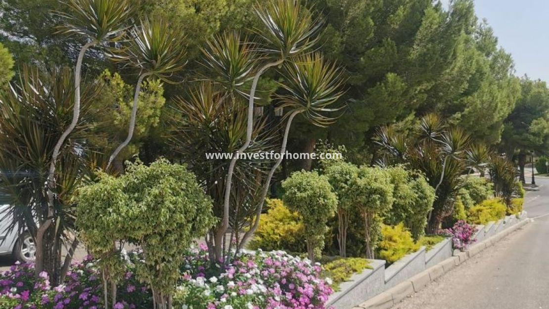 Vente - Appartement - Orihuela Costa - Costa Blanca