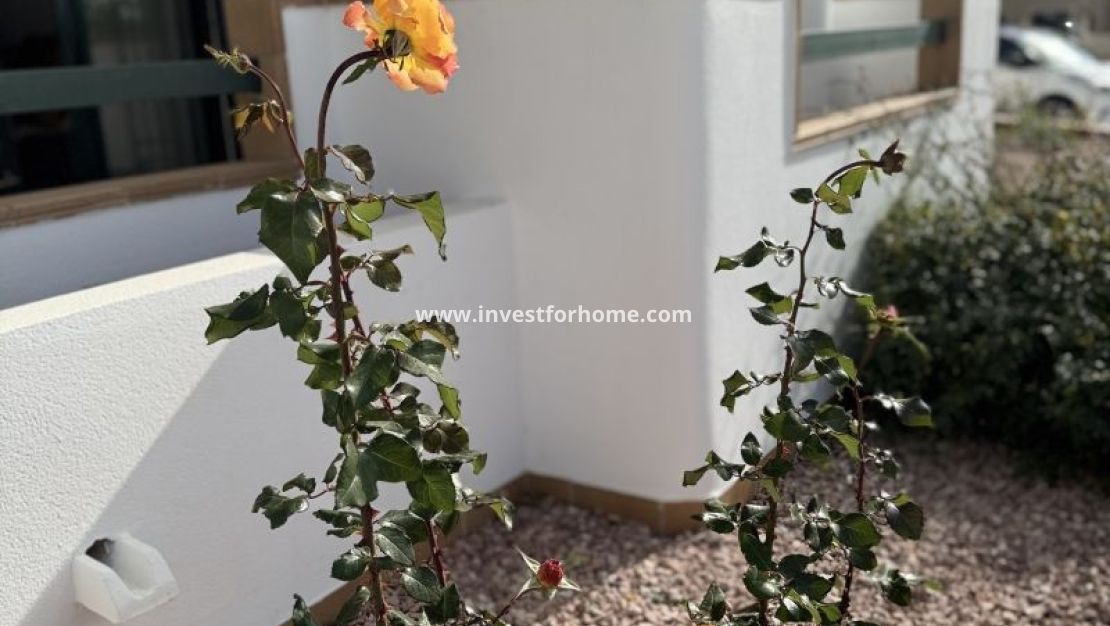 Vente - Appartement - Orihuela Costa - Costa Blanca