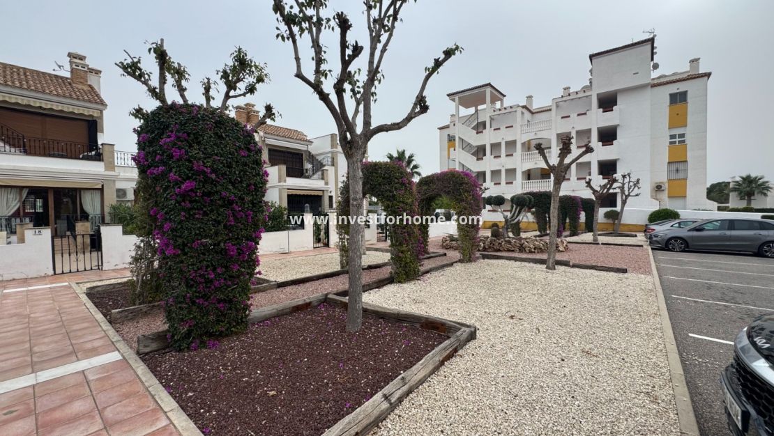 Vente - Appartement - Orihuela Costa - Costa Blanca