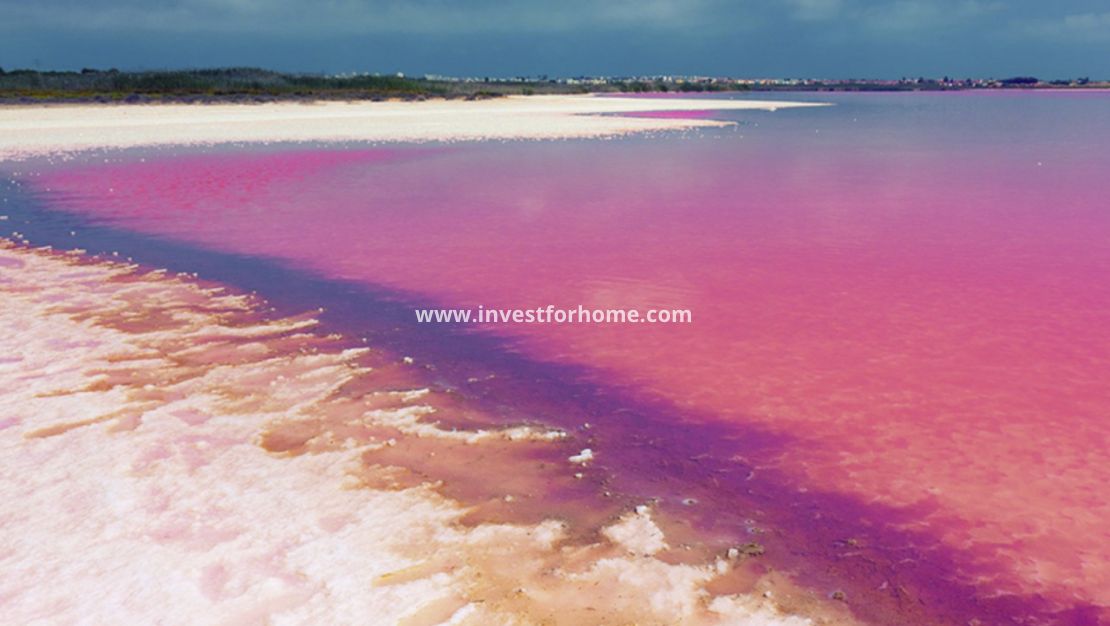 Vente - Appartement - Orihuela Costa - Costa Blanca