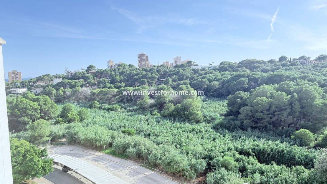 Vente - Appartement - Orihuela Costa - Dehesa De Campoamor