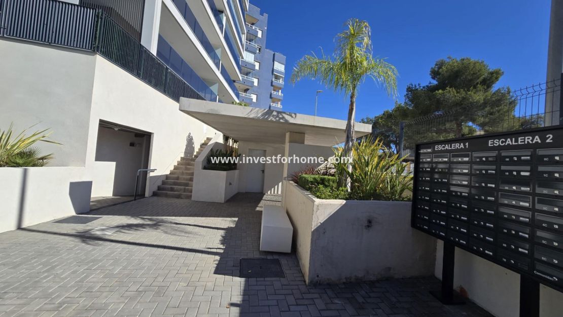 Vente - Appartement - Orihuela Costa - Dehesa De Campoamor