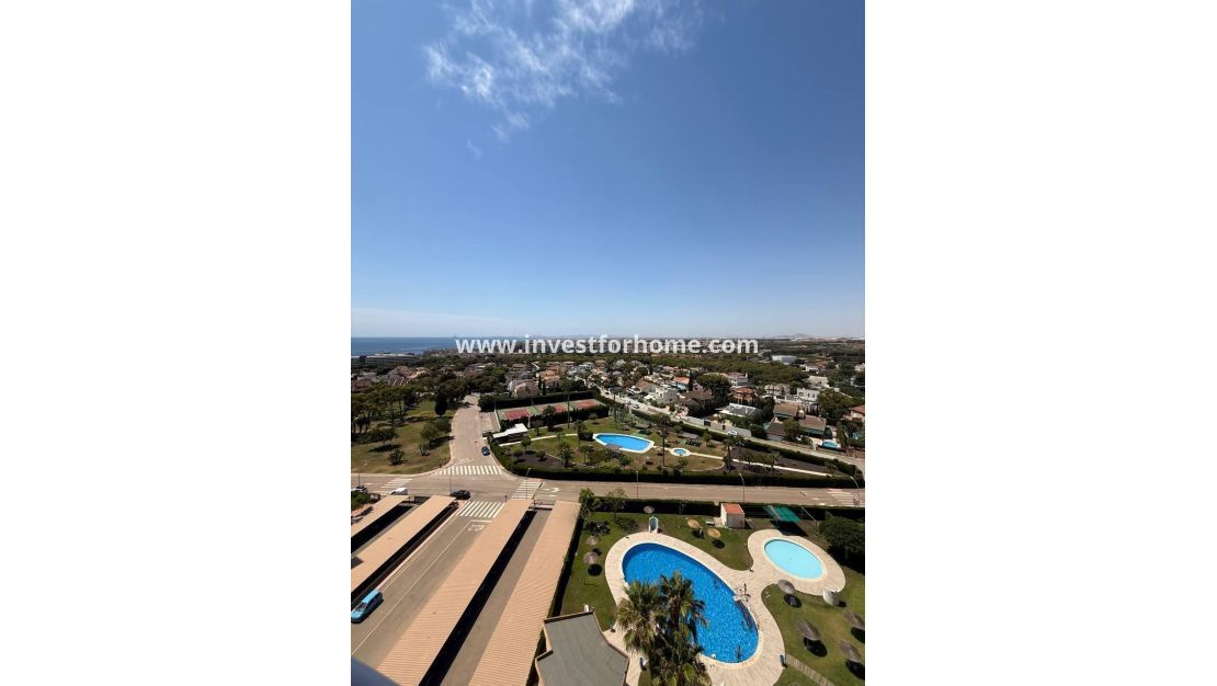 Vente - Appartement - Orihuela Costa - Dehesa De Campoamor