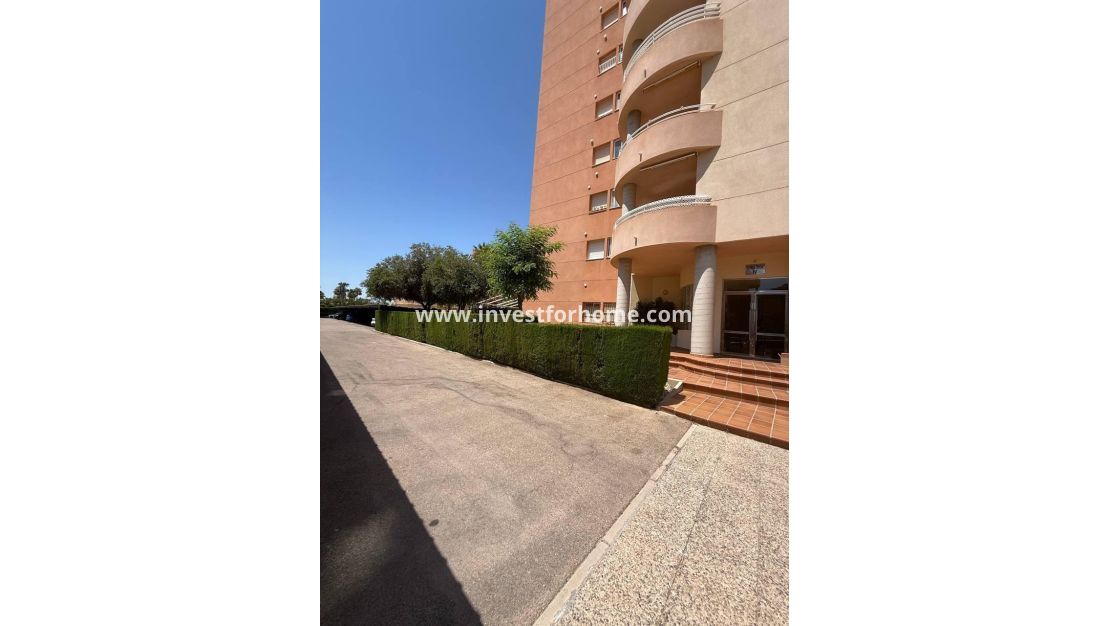 Vente - Appartement - Orihuela Costa - Dehesa De Campoamor