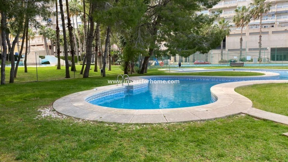 Vente - Appartement - Orihuela Costa - Dehesa De Campoamor