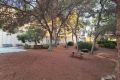 Vente - Appartement - Orihuela Costa - Dehesa De Campoamor
