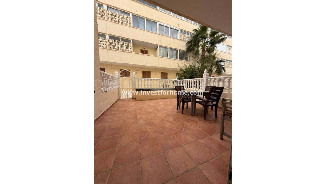 Vente - Appartement - Orihuela Costa - La Regia