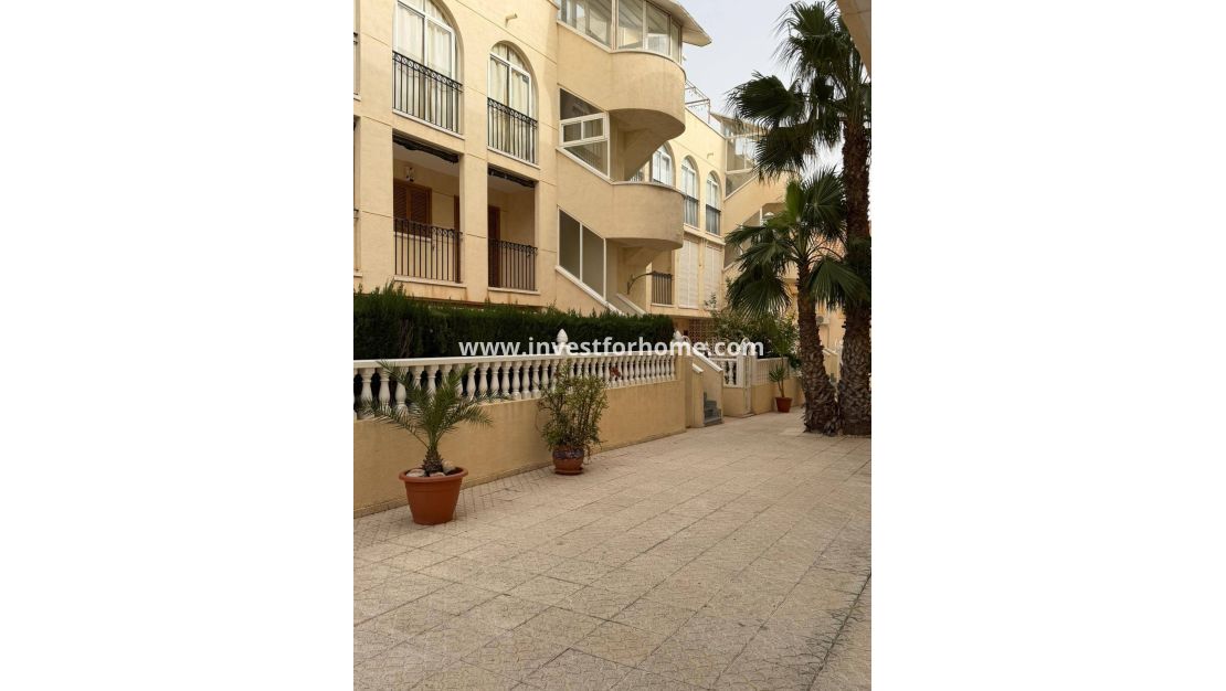 Vente - Appartement - Orihuela Costa - La Regia