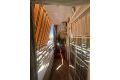 Vente - Appartement - Orihuela Costa - Los Andenes