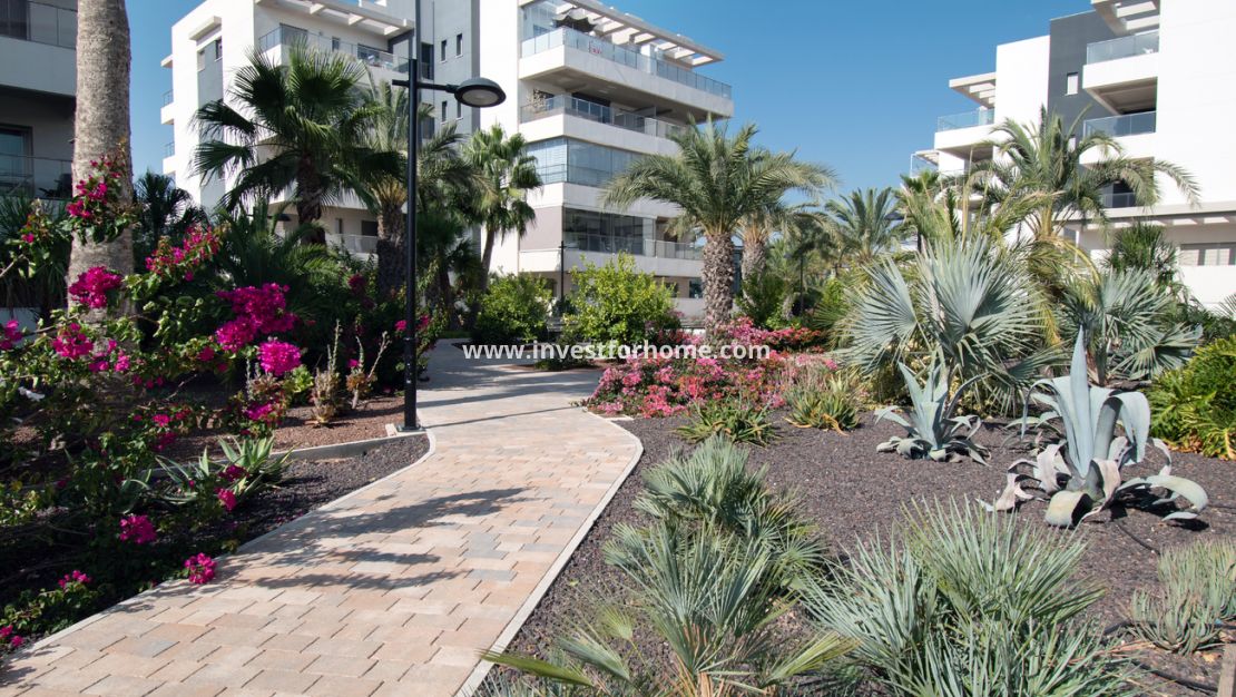 Vente - Appartement - Orihuela Costa - Los Dolses