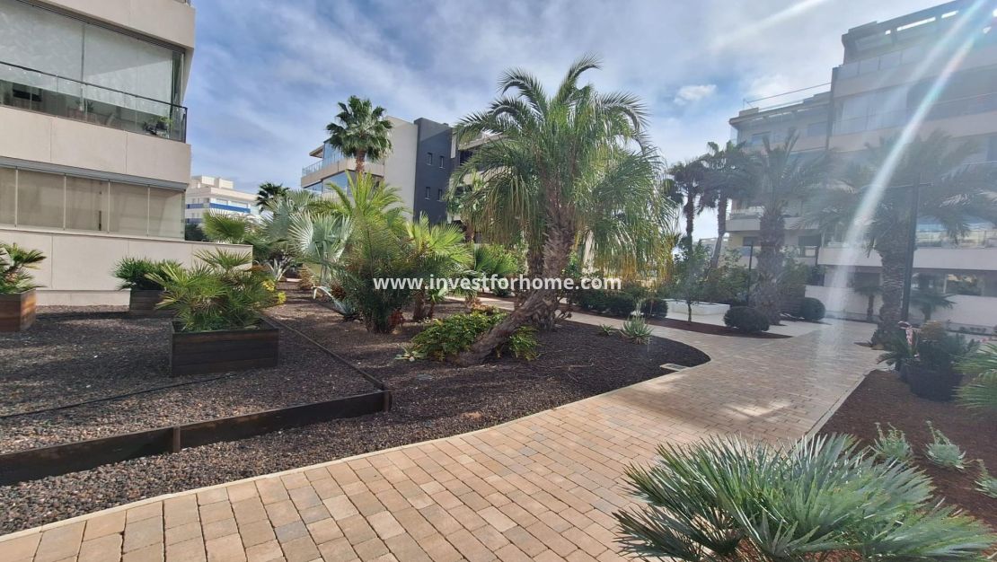 Vente - Appartement - Orihuela Costa - Los Dolses