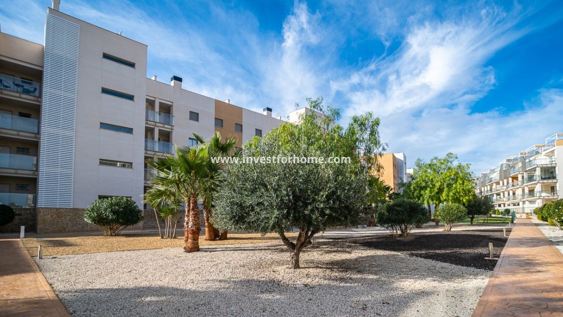 Vente - Appartement - Orihuela Costa - Los Dolses