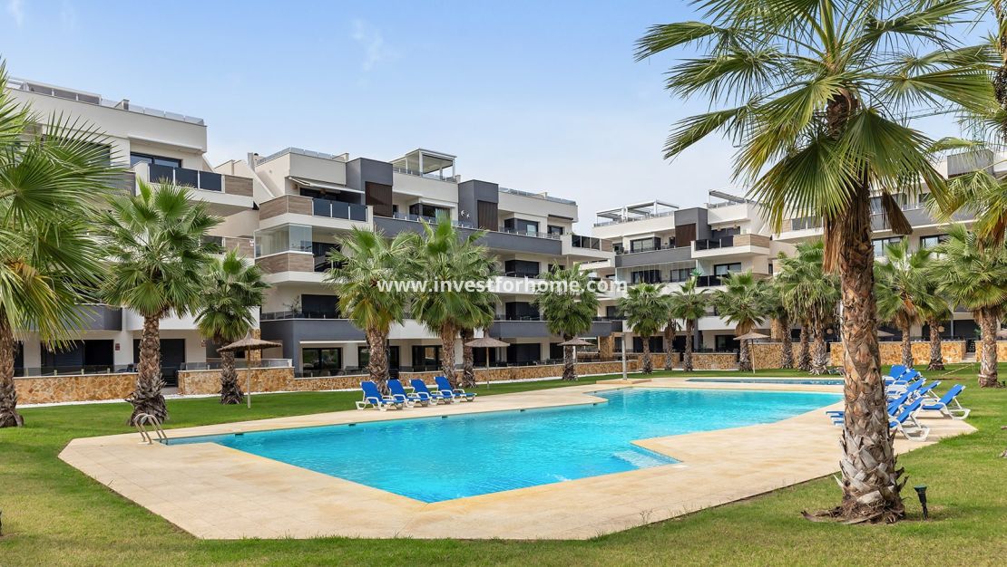 Vente - Appartement - Orihuela Costa - Orihuela