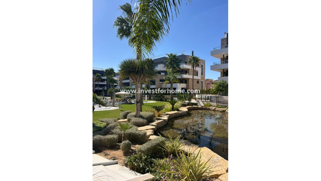 Vente - Appartement - Orihuela Costa - Playa Flamenca