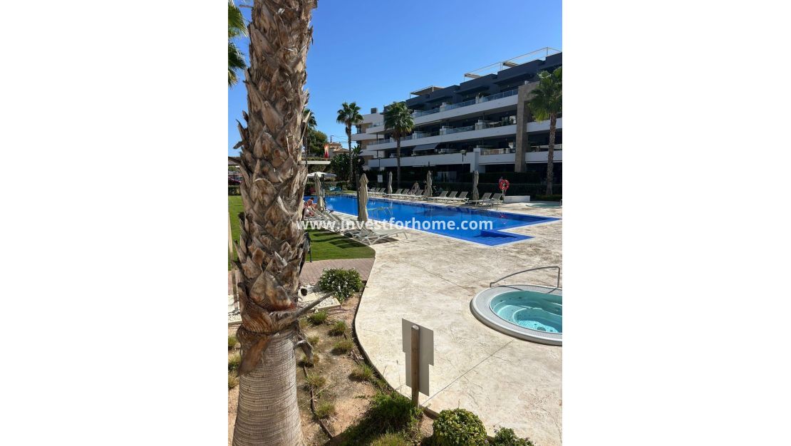 Vente - Appartement - Orihuela Costa - Playa Flamenca
