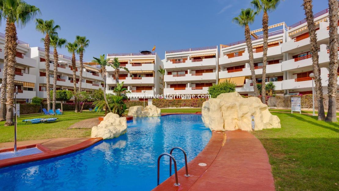Vente - Appartement - Orihuela Costa - Playa Flamenca