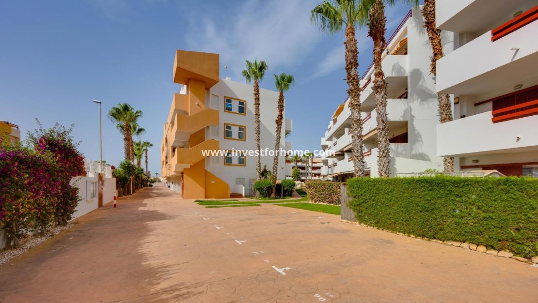 Vente - Appartement - Orihuela Costa - Playa Flamenca