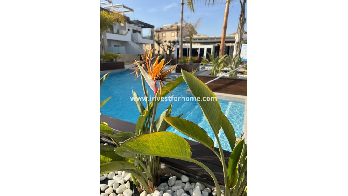 Vente - Appartement - Orihuela Costa - Rocio Del Mar