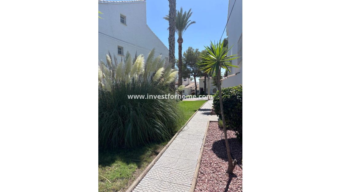 Vente - Appartement - Orihuela Costa - Villamartin