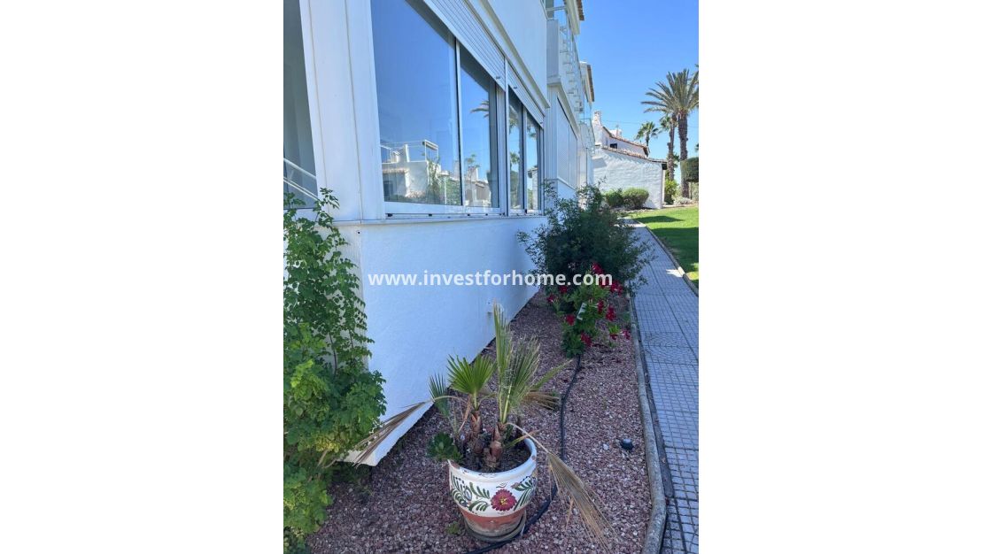 Vente - Appartement - Orihuela Costa - Villamartin