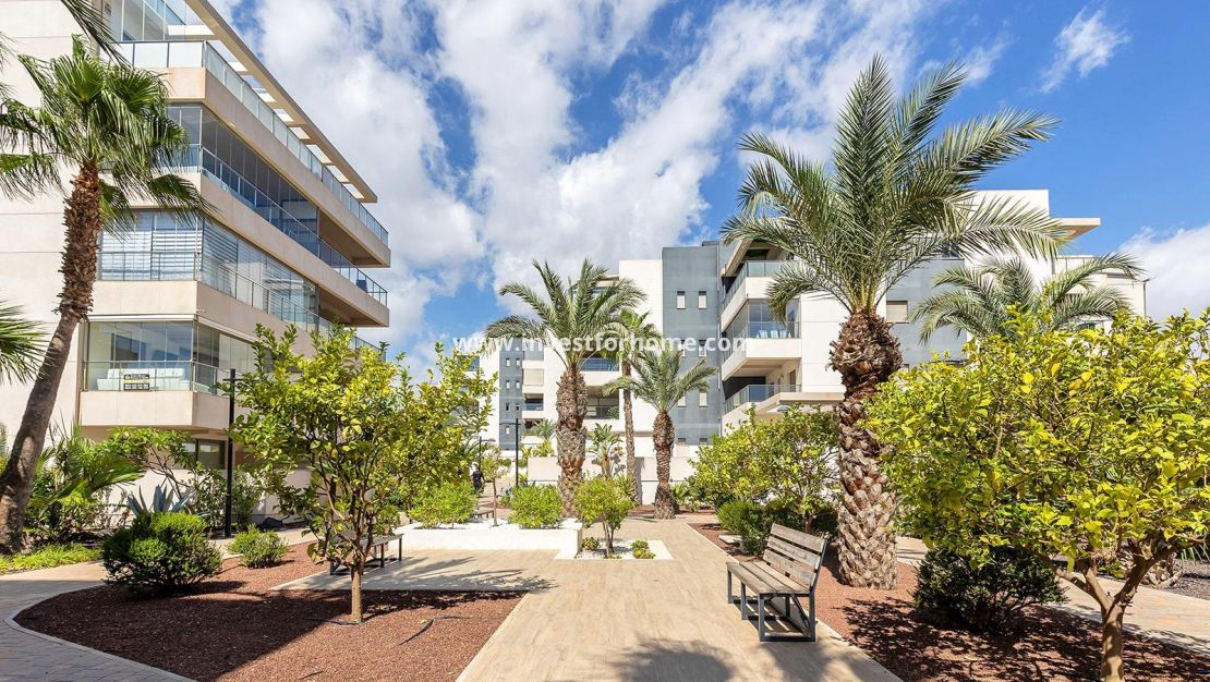 Vente - Appartement - Orihuela Costa - Villamartin