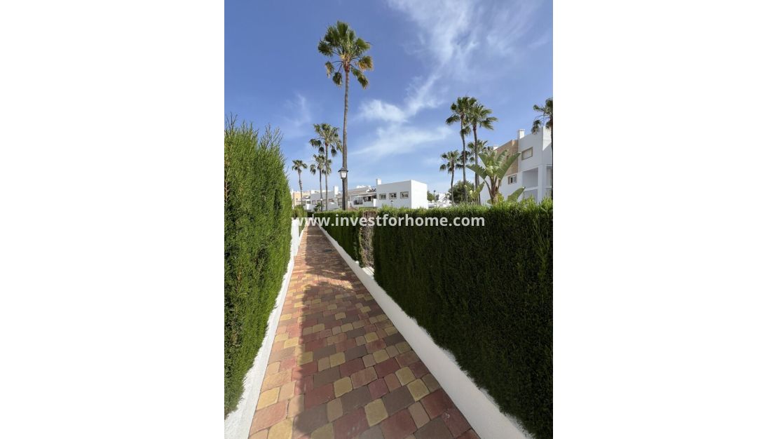 Vente - Appartement - Orihuela Costa - Villamartin