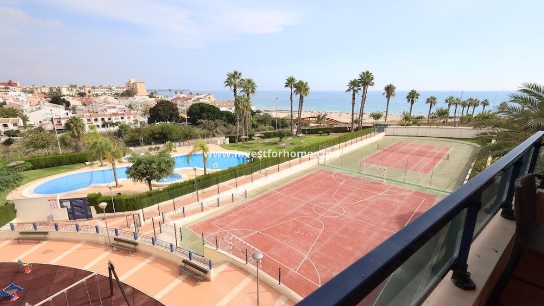 Vente - Appartement - Pilar de la Horadada - Costa Blanca