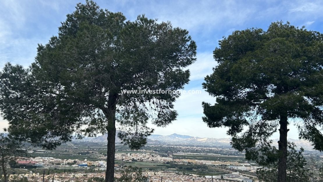 Vente - Appartement - Rojales - Costa Blanca