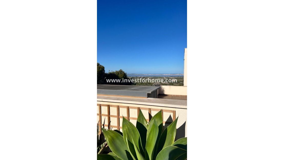 Vente - Appartement - San Miguel de Salinas - Bellavista