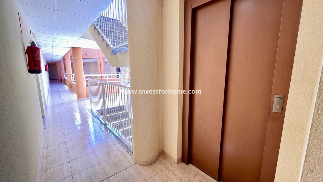 Vente - Appartement - San Miguel de Salinas - Inland