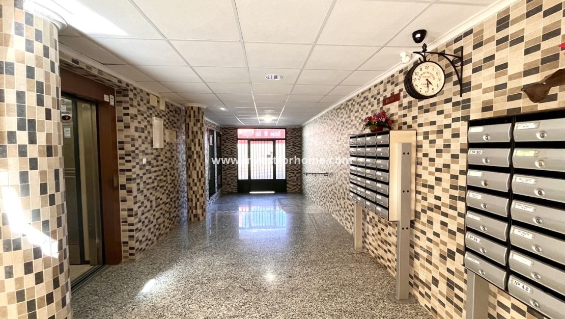 Vente - Appartement - San Miguel de Salinas - Inland