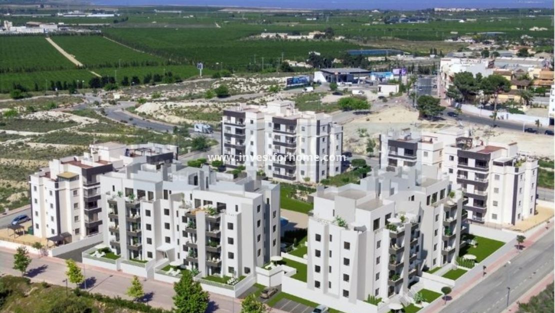 Vente - Appartement - San Miguel de Salinas - Inland