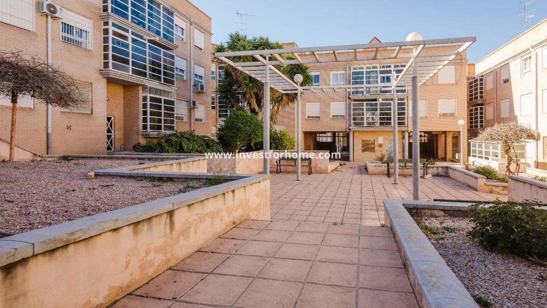 Vente - Appartement - San Miguel de Salinas - Inland