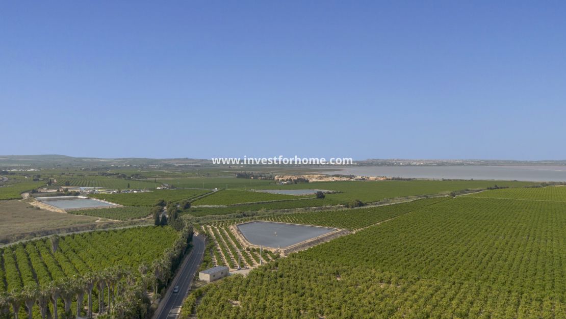 Vente - Appartement - San Miguel de Salinas - Inland